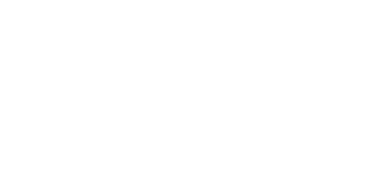 Polanik Logo