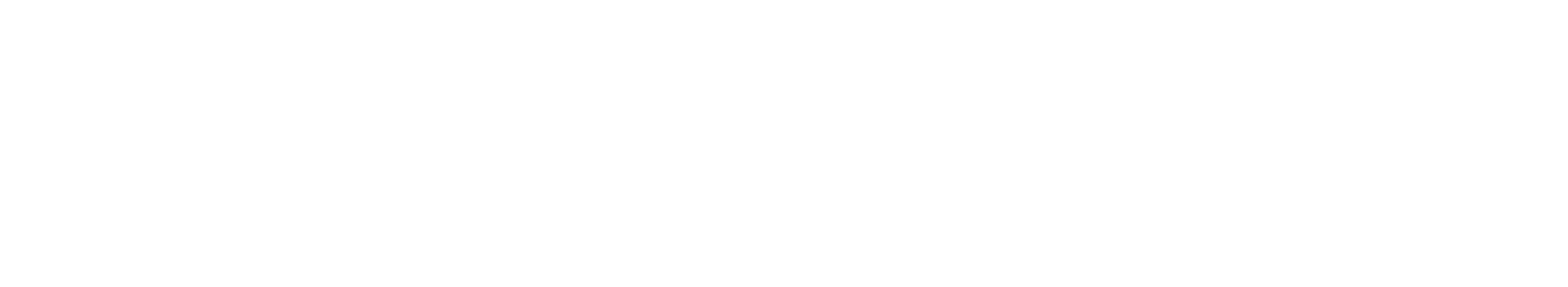 Soxpro Logo